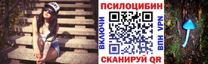 Псилоцибиновые грибы ЛСД  Северская 